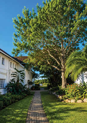 A paved walkway runs between two white buildings with green lawns, plants, and trees under a clear blue sky. Description generated by AI