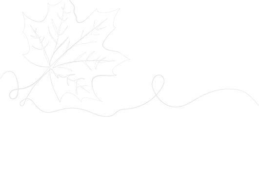 A delicate line drawing of a maple leaf with a looping line extending from its stem across a white background. Description generated by AI