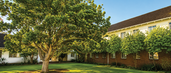 A large tree stands on a well-maintained lawn in front of a brick and white building under a clear blue sky. Description generated by AI