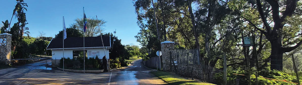 A paved road with yellow markings leads to a gated entrance surrounded by trees and greenery under a clear blue sky. Description generated by AI