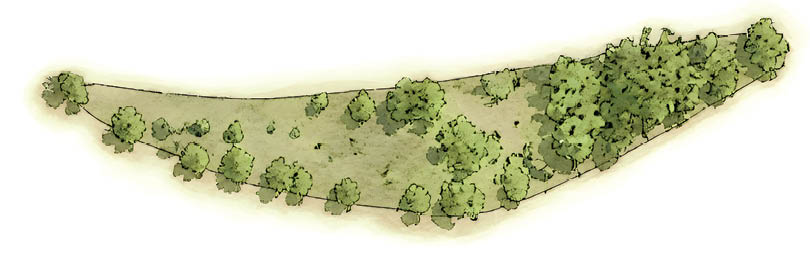 A watercolor illustration of a narrow, elongated patch of land with scattered trees and denser foliage on one end. Description generated by AI
