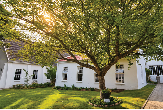 A white house with multiple windows is surrounded by a well-maintained green lawn and shaded by a large tree with sunlight filtering through its leaves. Description generated by AI