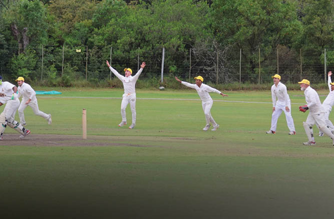People in white cricket uniforms are actively playing on a grassy field surrounded by trees, with some players raising their arms as if appealing or celebrating. Description generated by AI